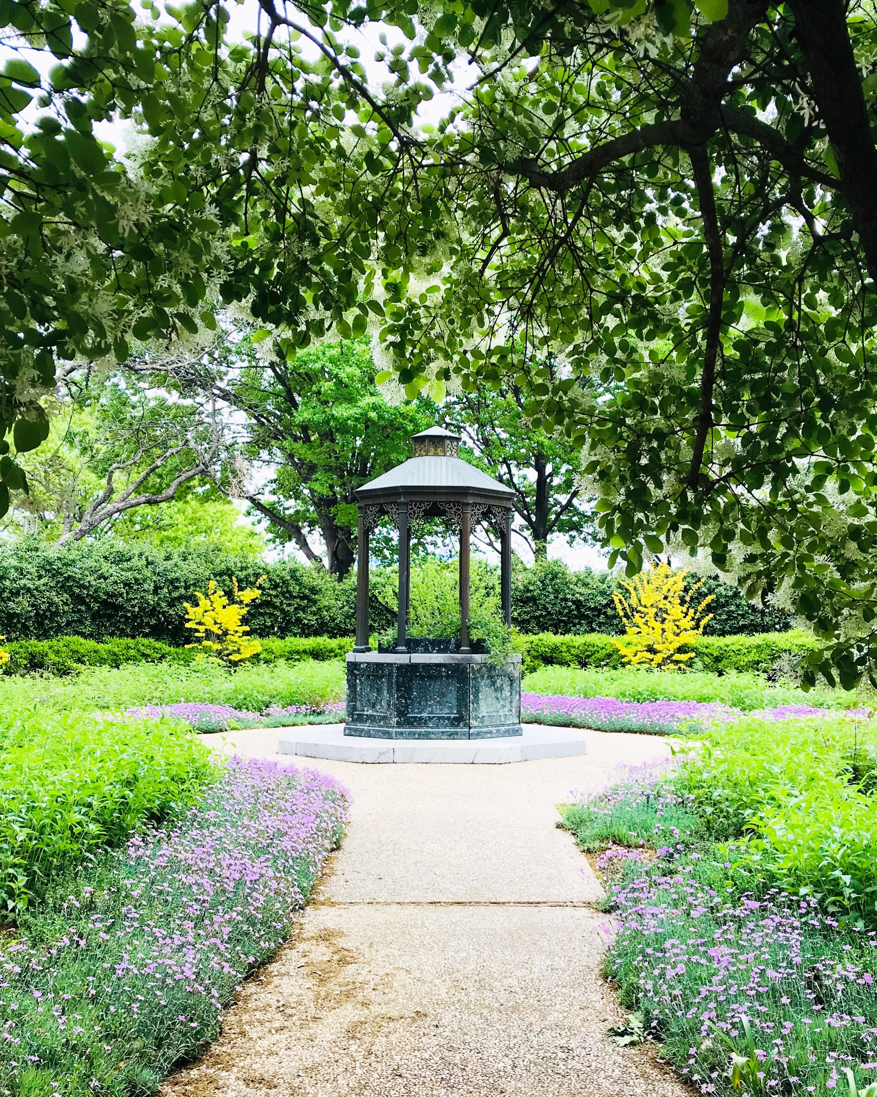 Texas Discovery Gardens In Dallas Fair Park Is A Total Gem News