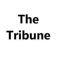 The Tribune's avatar