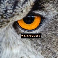 Watchful Eye's avatar